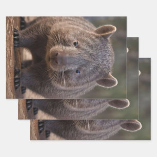 Chubby, de Australische wombat, Inpakpapier Vel