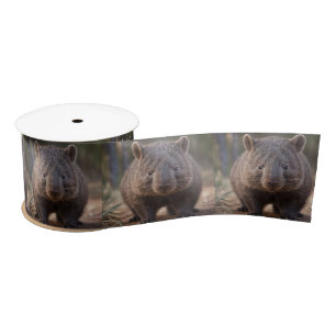 Chubby, de Australische wombat, Lint