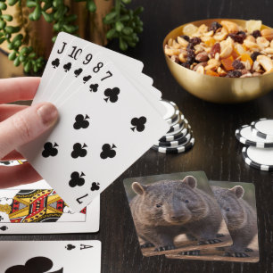 Chubby, de Australische wombat, Pokerkaarten