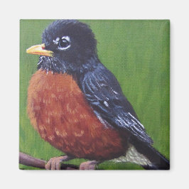 Chubby Robin - Magnet Magneet