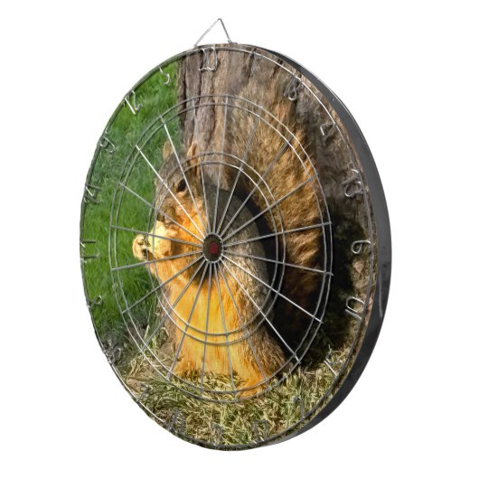 Chubby Squirrel Dartbord (Voorkant Rechts)