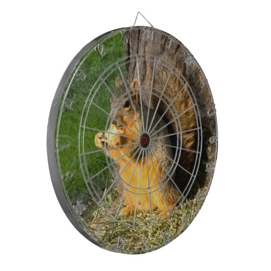 Chubby Squirrel Dartbord (Voorkant Links)