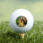 Chubby Squirrel, golfballen (Insitu Shirt)