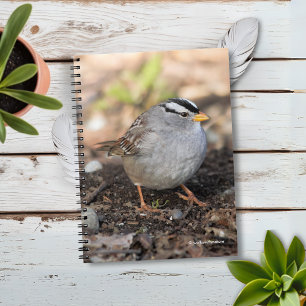 Chubby White-Crowned Sparrow in the Winter Sun Notitieboek