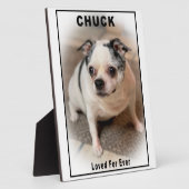 Chuck Fotoplaat (Zijkant)