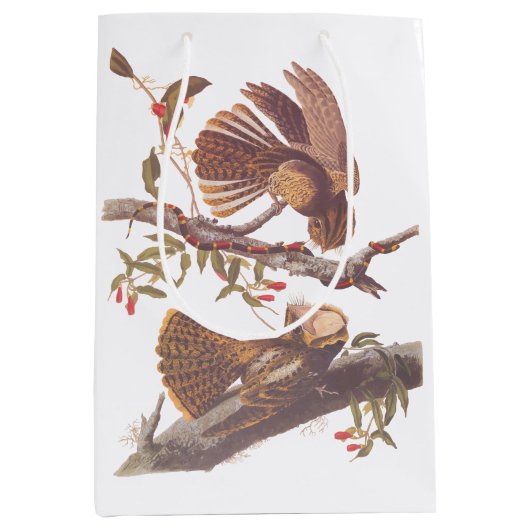 Chuck Will's weduwe Nightjar met Coral Snake Medium Cadeauzakje (Voorkant)