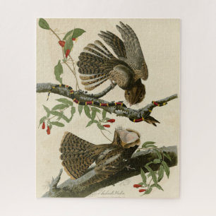 Chuck-will's Widow - Audubon's Birds of America Legpuzzel