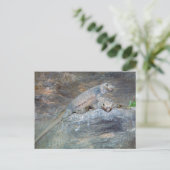 Chuckwalla Head Briefkaart (Staand voorkant)