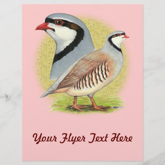 Chukar Partridge Combo Flyer (Voorkant)