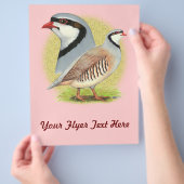 Chukar Partridge Combo Flyer (Hand)