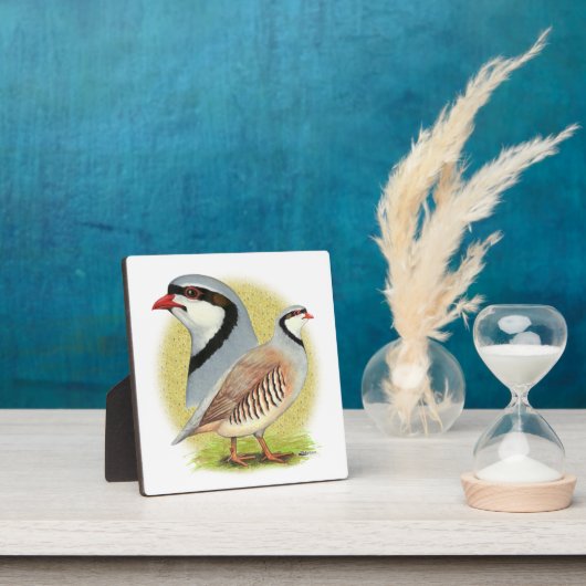Chukar Partridge Combo Fotoplaat (Insitu)