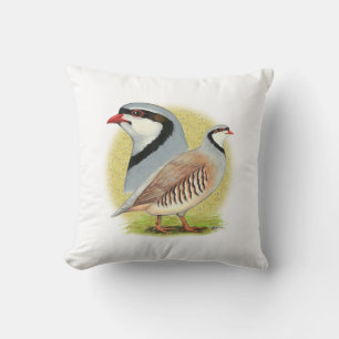 Chukar Partridge Combo Kussen