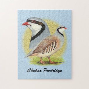 Chukar Partridge Combo Legpuzzel