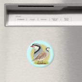 Chukar Partridge Combo Magneet (Insitu (Vaatwasser))