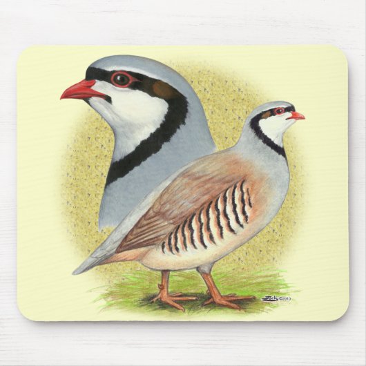 Chukar Partridge Combo Muismat (Voorkant)