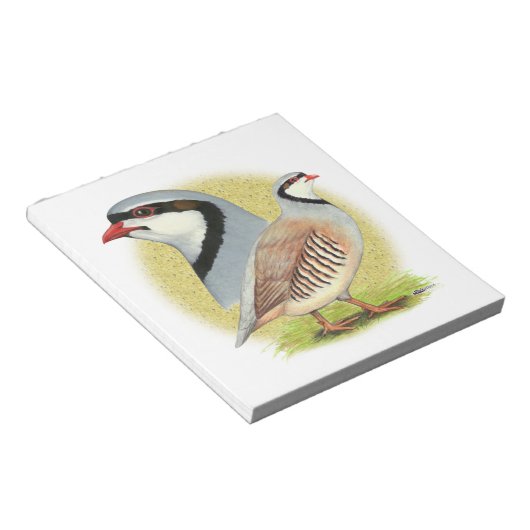 Chukar Partridge Combo Notitieblok (Schuin)