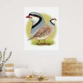 Chukar Partridge Combo Poster (Keuken)