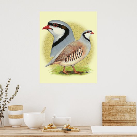 Chukar Partridge Combo Poster (Keuken)