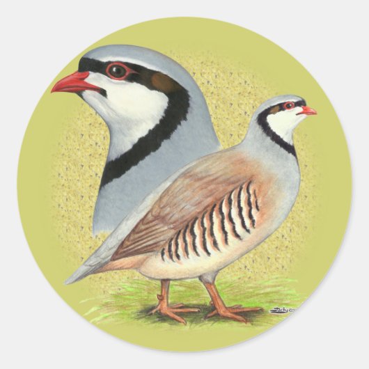 Chukar Partridge Combo Ronde Sticker (Voorkant)