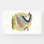 Chukar Partridge Combo Spandoek (Horizontaal)