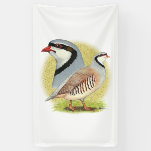 Chukar Partridge Combo Spandoek (Verticaal)