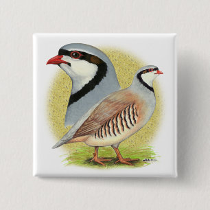 Chukar Partridge Combo Vierkante Button 5,1 Cm