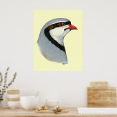 Chukar: Partridge Head Poster (Keuken)