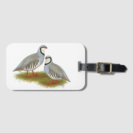 Chukar Partridge Pair Bagagelabel (Voorkant (horizontaal))