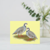 Chukar Partridge Pair Briefkaart (Staand voorkant)