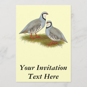 Chukar Partridge Pair Kaart