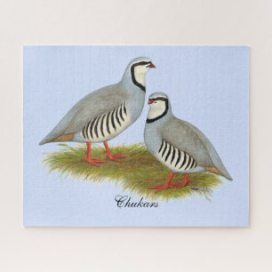 Chukar Partridge Pair Legpuzzel