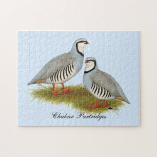 Chukar Partridge Pair Legpuzzel