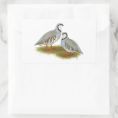 Chukar Partridge Pair Rechthoekige Sticker (Tas)