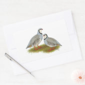 Chukar Partridge Pair Rechthoekige Sticker (Envelop)