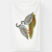 Chukar Partridge Pair Spandoek (Verticaal)
