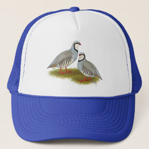 Chukar Partridge Pair Trucker Pet