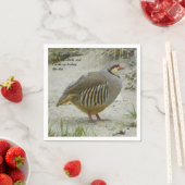 Chukar Partridge Servet (Insitu)