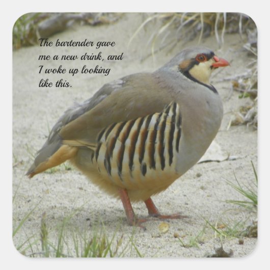 Chukar Partridge Vierkante Sticker (Voorkant)