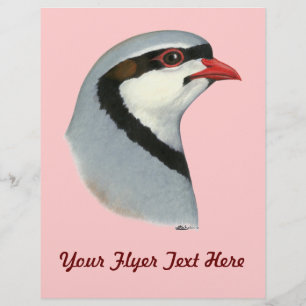 Chukar:  Patrijs Kop Flyer