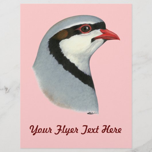 Chukar: Patrijs Kop Flyer (Voorkant)