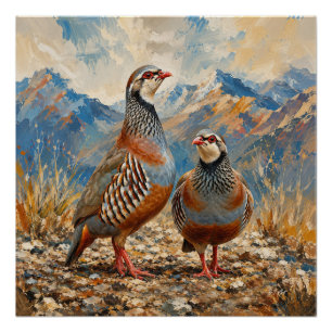 Chukar Patrijzen Paar Kunst Perfect Poster