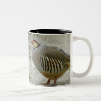 chukar tweekleurige koffiemok