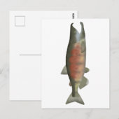 Chum Salmon - Speenfase Briefkaart (Voorkant / Achterkant)