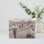 Chumping Cholla Cactus Desert B&W Photo Cartes pos (Debout devant)