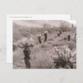 Chumping Cholla Cactus Desert B&W Photo Cartes pos (Devant / Derrière)