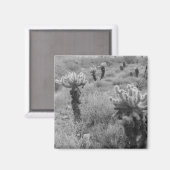 Chumping Cholla Cactus Desert Réfrigérateur Magnet (Recto/Verso)