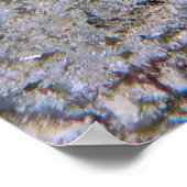 Chuncky Lionfish Poster (Hoek)