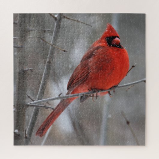 Chunky Bright Red Male Kardinaal in wintersneeuw Legpuzzel (Verticaal)