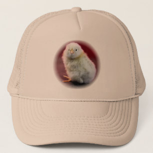 Chunky Chicky Trucker Pet