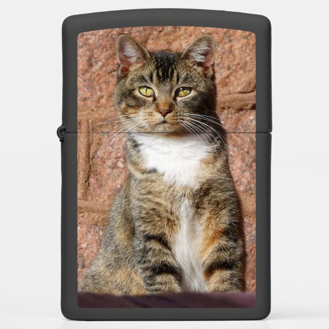 Church Cat (Voorkant)